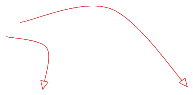 double arrow icon