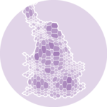 Cartogram